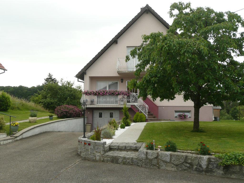 Chez Anny Et Jean Au Mittelbuehl-Reichshoffen Exterior foto